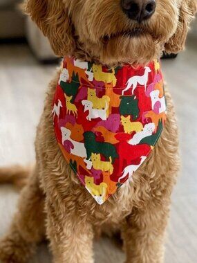 Slip-Over Dog Collar Bandana Handmade Size M Multicolored Dog Accessory